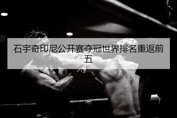 石宇奇印尼公开赛夺冠世界排名重返前五